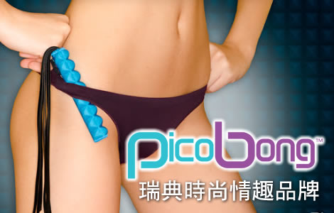 瑞典PicoBong